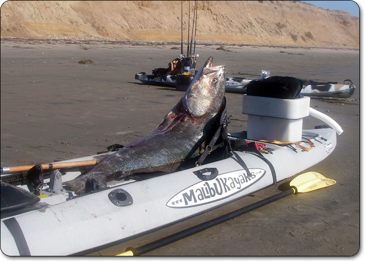 קיאק דייג וגלישת גלים Malibu Extreme